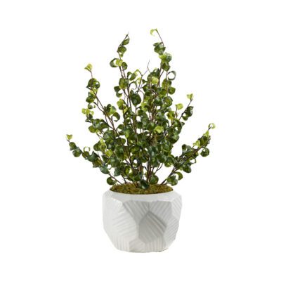 Benjamina Ficus in Flintstone Planter - 239034