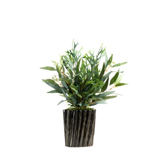 Staghorn Fern and Eucalyptus in Medium Ripple Planter - 239038