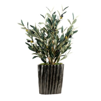 Olive in Large Ripple Planter - 239039