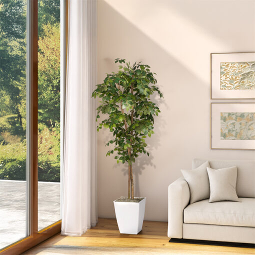 Sakaki Tree in Cardinal Planter 7' - 323825 - Image 2