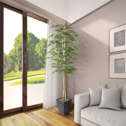 Ruscus Tree in Cardinal Planter 8' - 323830 - Image 2