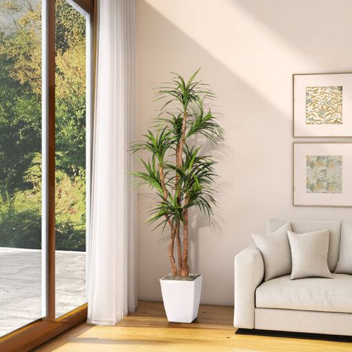 Dracaena Tree in Cardinal Planter 8' - 323835 - Image 2