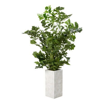Fishtail in Everett Planter 6.5' - 323902