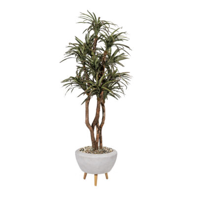 Dracaena Tree in Triad Planter 7.5' - 323903