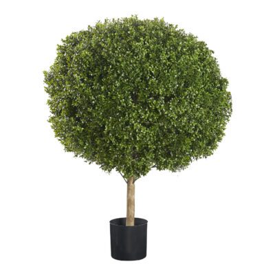 Boxwood Ball 3' x 4' - TL701