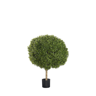 Boxwood Ball 3' x 4' - TL701