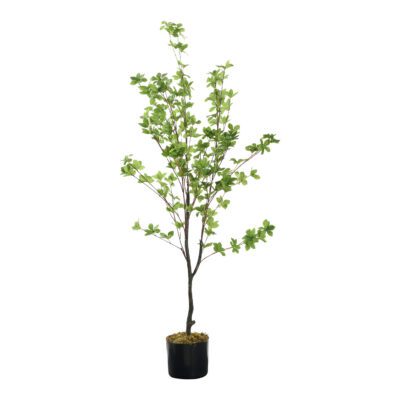 Douban Tree 4.5' - TL982
