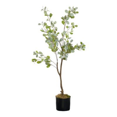 Mini Eucalyptus Tree 4' - TL990