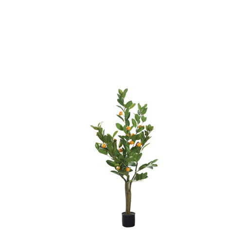 Orange Tree 4' - TL991