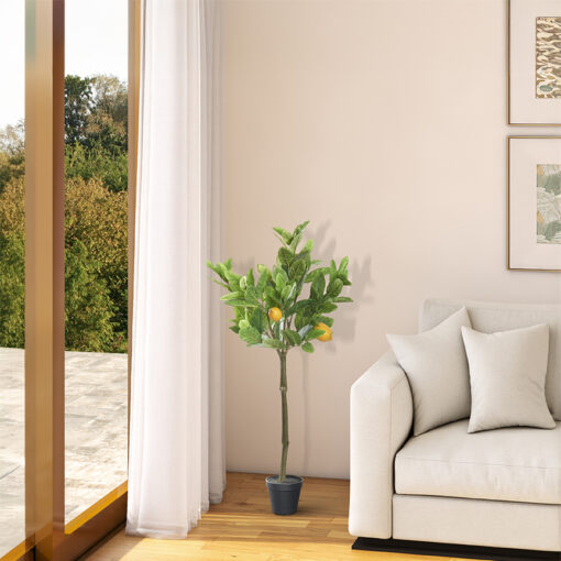 Lemon Tree 3.2' - TL992 - Image 2