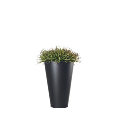 Wild Grass in Large Black Cheer Planter - 223002