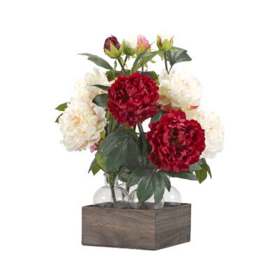 Red and Cream Peonies in Langley Vase - 174054