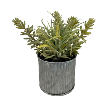 Flocked Succulent & Mini Aloe in Tin Planter - 195002A