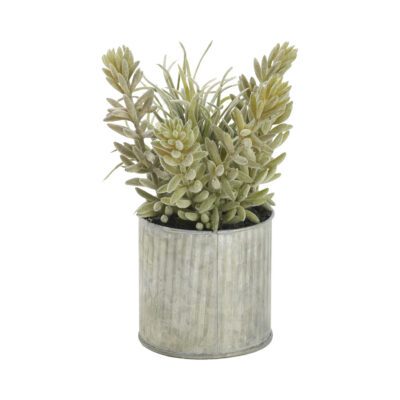 Sedum and Mini Aloe in Tin Planter - 195002A