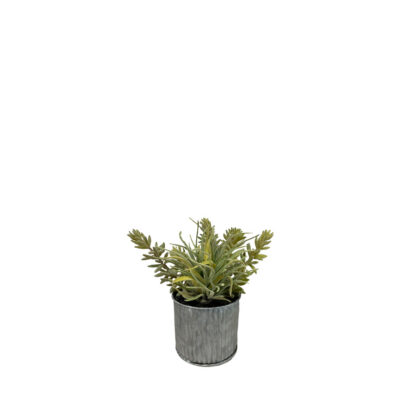 Flocked Succulent & Mini Aloe in Tin Planter - 195002A