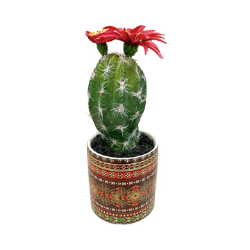 Cactus with Red Blossom in Orange Mexican Tile Planter - 195008C