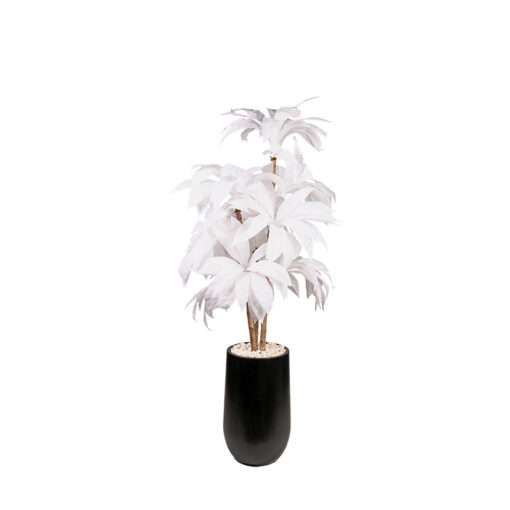 White Birdnest Palm in Quinn Planter 8' - 322640