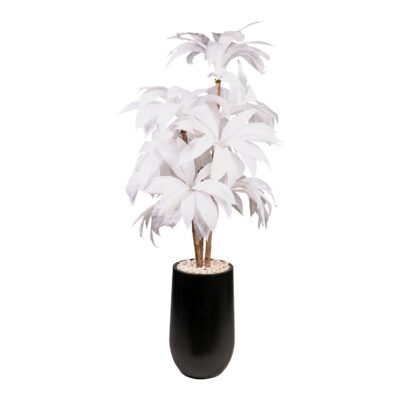 White Birdnest Palm in Quinn Planter 8' - 322640