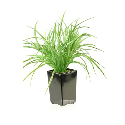 Yucca Grass in Orion Planter - 137015