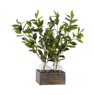 Bay Leaf Branches in Langley Vase - 184032