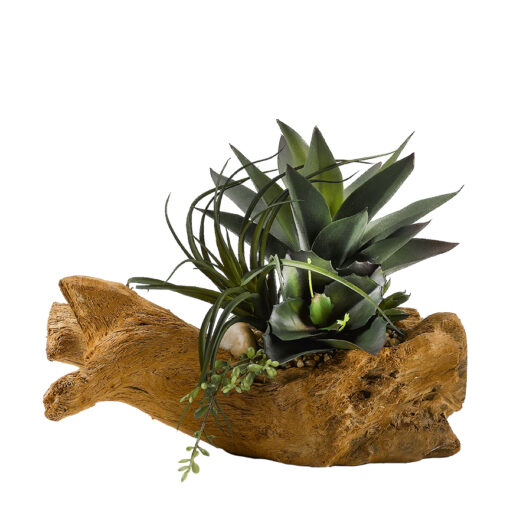 Agave Plant with Tillandsia and Wild Succulent in Drift Planter - 187004