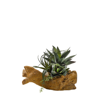 Agave Plant, Tillandsia & Wild Succulent in Drift Planter - 187004