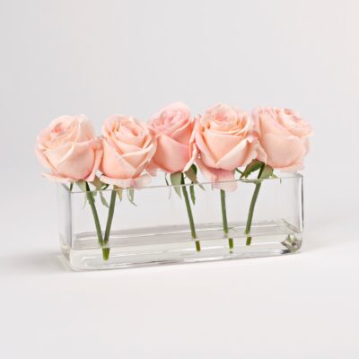 Light Pink Roses in Small Aquaria Vase - 212202