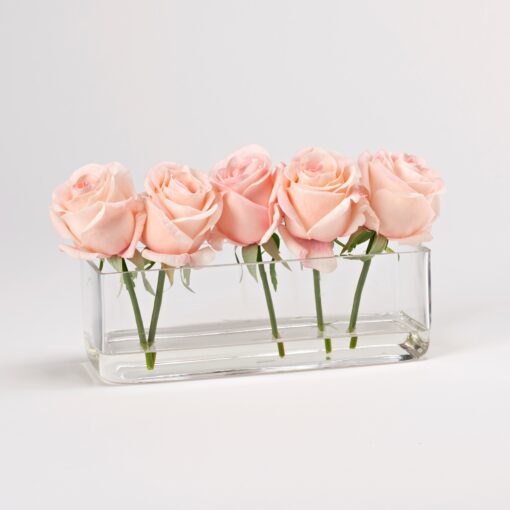 Light Pink Roses in Small Aquaria Vase - 212202