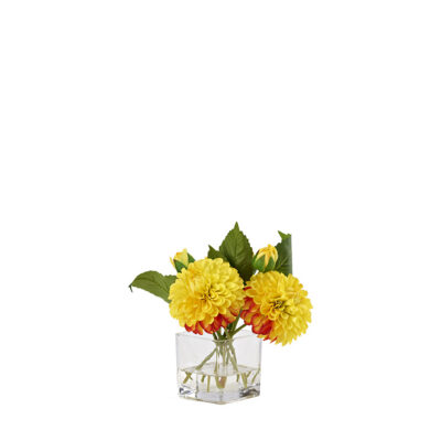 Yellow Dahlias in Tealight Vase - 212225