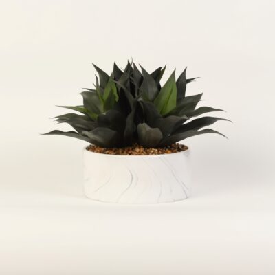 Red/Green Agave Plants in Large Cora Bowl - 217066