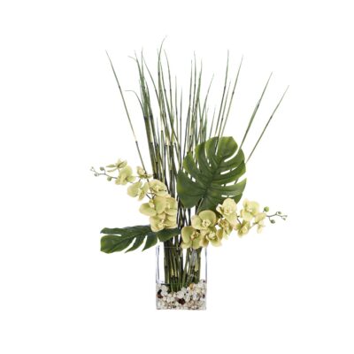 Green Orchids, Horsetail Reed, and Philo Leaves in Panel Vase - 231203