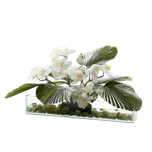 White Orchids and Fan Palm in Medium Aquaria Vase - 231204