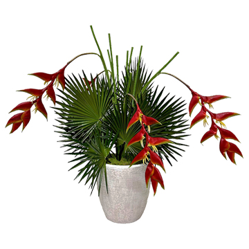 Heliconia and Fan Palms in Hudson Planter - 231206