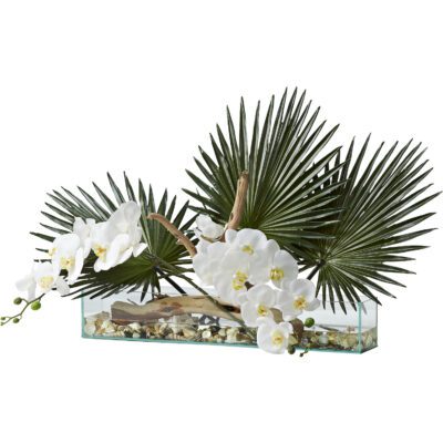 Orchids, Palms, Ghostwood & Sea Shells in Aquaria Vase - 231208