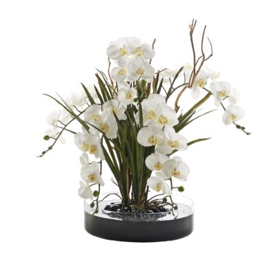 Orchids, Areca Grass, and Sandblasted Dragonwood in Cava Vase - 231211