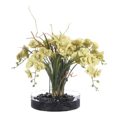 Orchids, Areca Grass and Sandblasted Dragonwood in Cava Vase - 231213