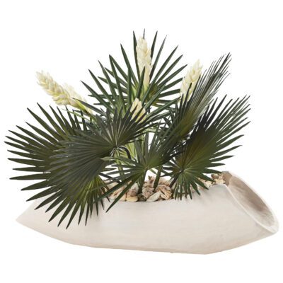 Fan Palm, Ginger Plant & Sea Shells in Whitewashed Lodge Planter - 231217