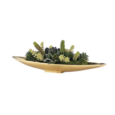 Succulents in Gold Denver Boat - 231220