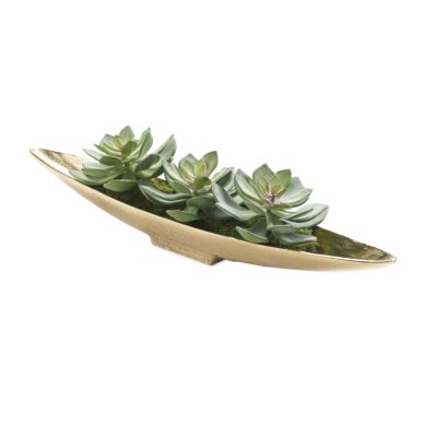 Three Succulents in Gold Denver Boat - 231222