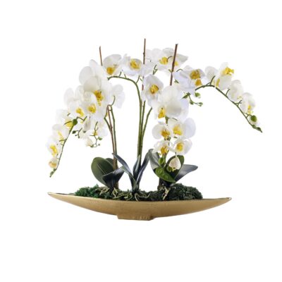 Orchids in Gold Denver Boat - 231224