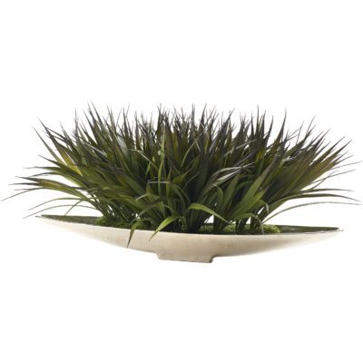 Grass in Silver Denver Boat - 231225