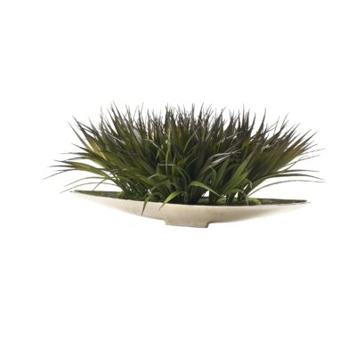 Grass in Silver Denver Boat - 231225