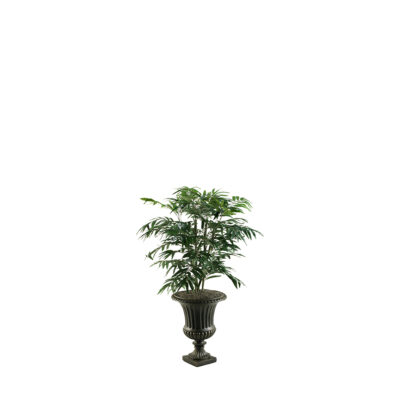 Phoenix Palm in Resin Urn - 315422