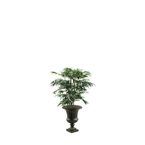 Phoenix Palm in Resin Urn - 315422