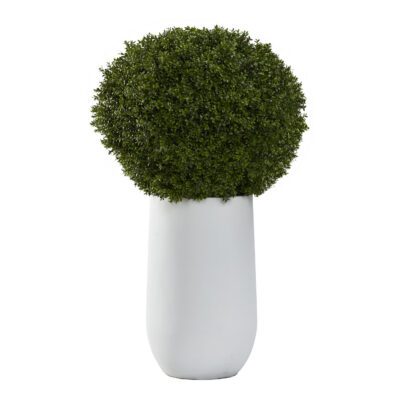 Boxwood Ball in Large Quinn Planter - 322943