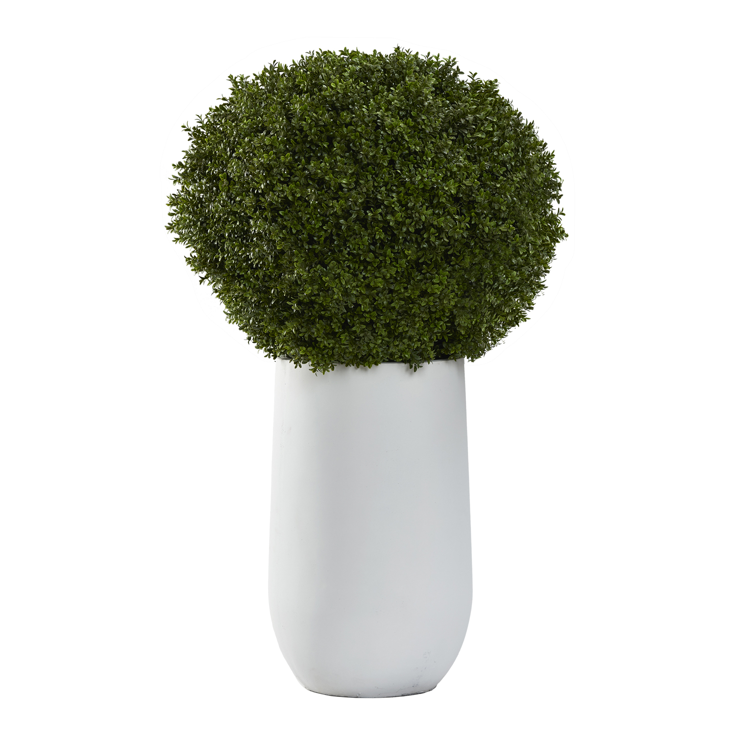 Boxwood Ball in Large Quinn Planter - 322943