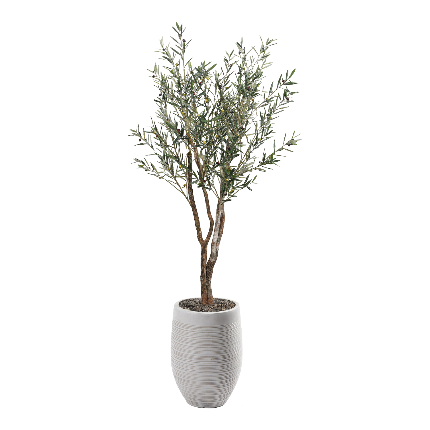 Olive Tree in Kai Planter 8' - 323114