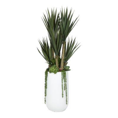 Yucca Trees & Assorted Succulents in Quinn Planter - 323116
