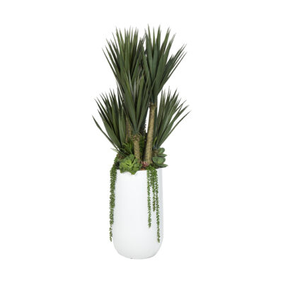 Yucca Trees and Assorted Succulents in Large Quinn Planter - 323116