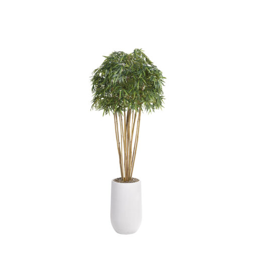Bamboo Tree in Quinn Planter 8' - 323117